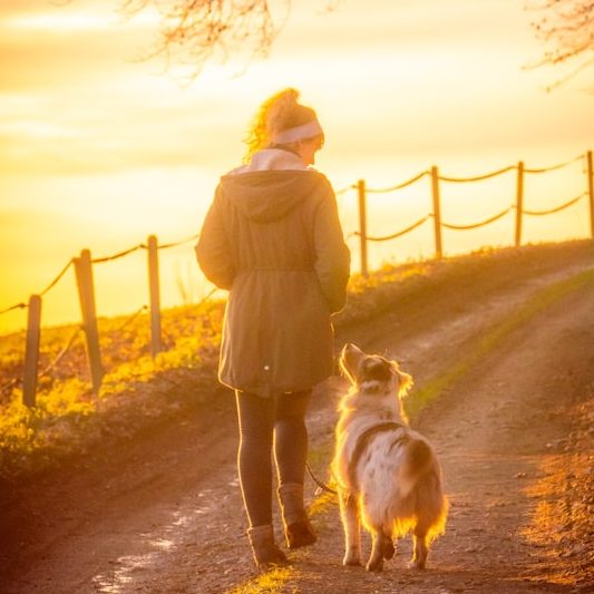 Frau mit Hund spaziert auf einem sonnigen Weg bei Sonnenuntergang.
